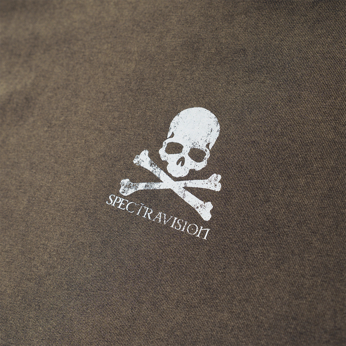Skull Flag Washed Short Sleeve T-Shirt WN25649