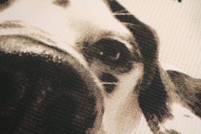 Waffle Dog Graphic Print Short Sleeve T-Shirt WN26013