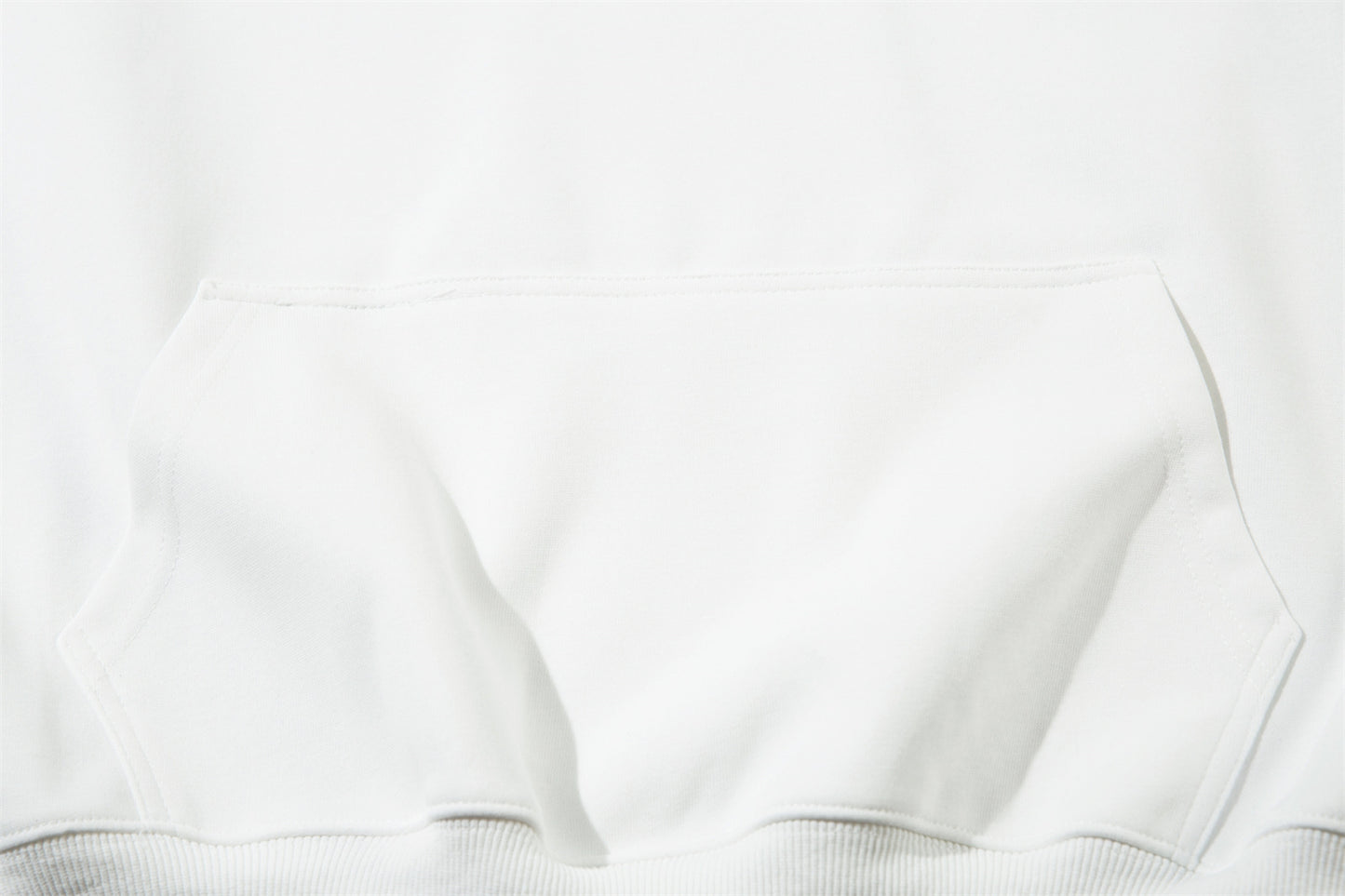 Floral Embroidery Oversize Hoodie WN11424