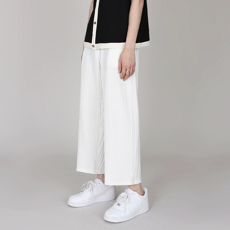 Pleatas Wide-Leg Cropped Pants WN6710