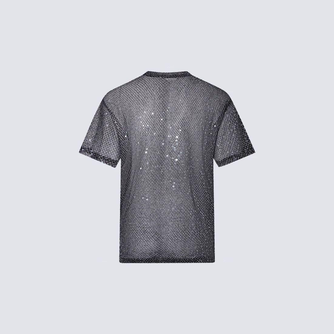 Glitter Sheer Mesh Short Sleeve T-Shirt WN27882