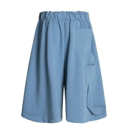 Pleats Panel Wide Leg Half Sweatpants WN26091