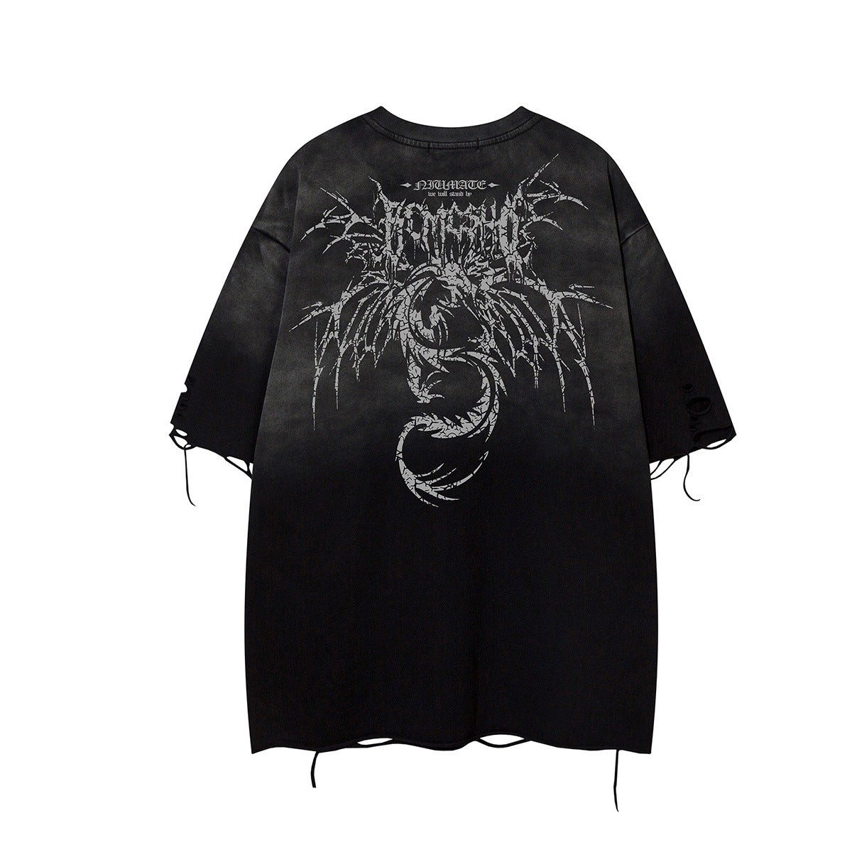 Gradient Wing Graphic Damage Short Sleeve T-Shirt WN25537