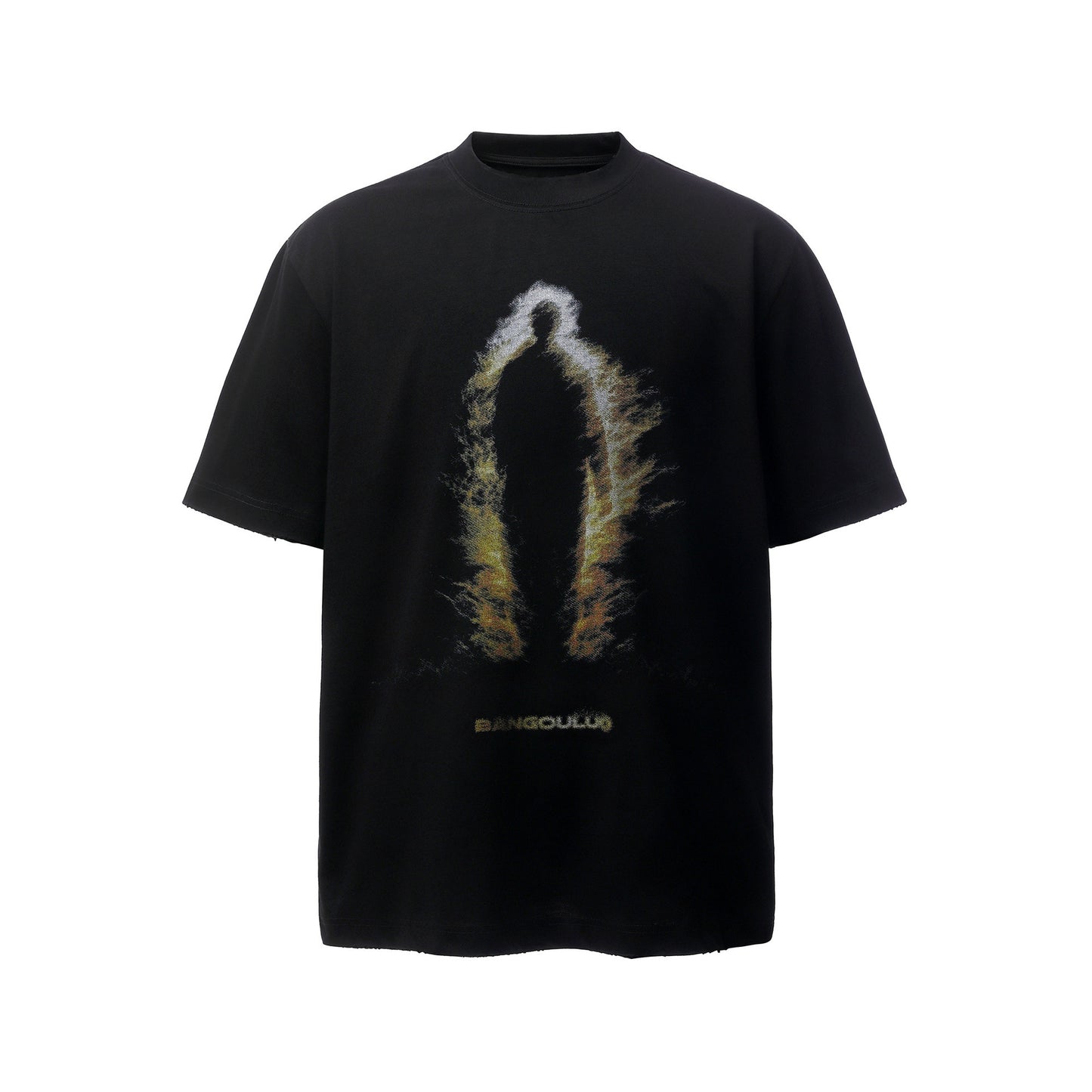 Graphic Art Print Short Sleeve T-Shirt WN25478