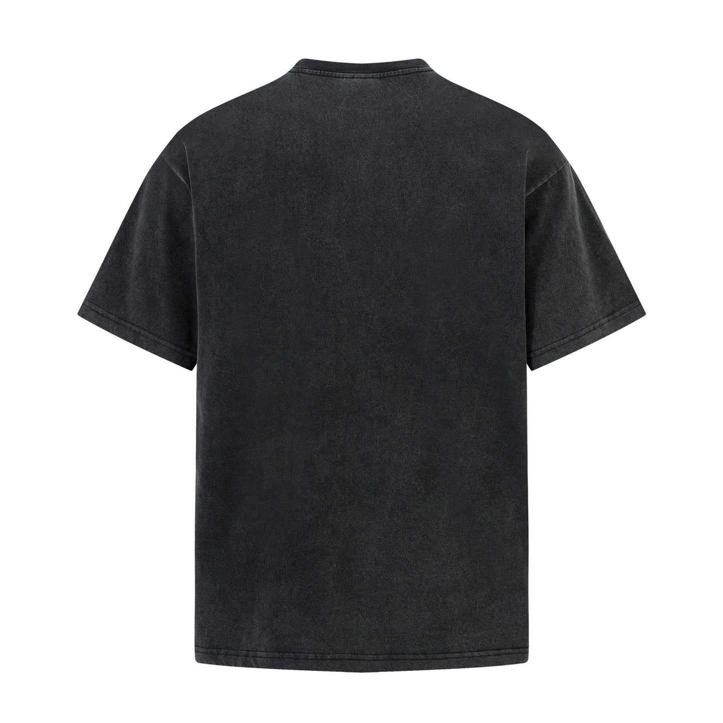 Washed Print Short Sleeve T-Shirt WN25885