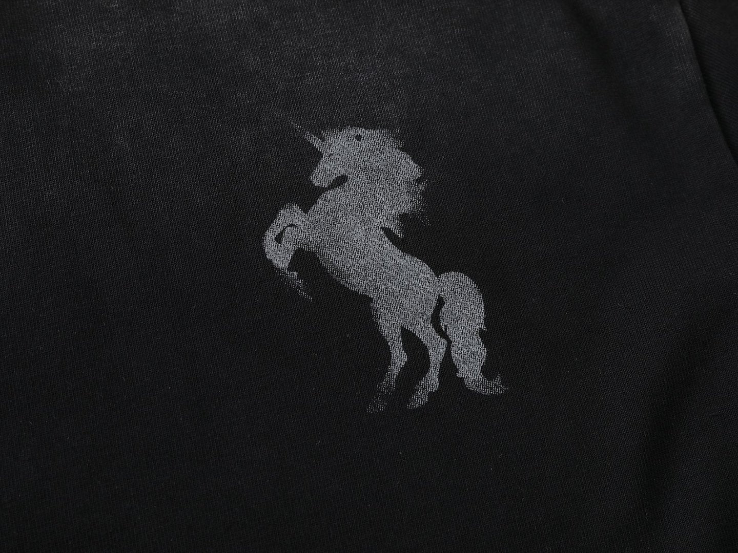 Washed Horse Graphic Print Short Sleeve T-Shirt WN26036