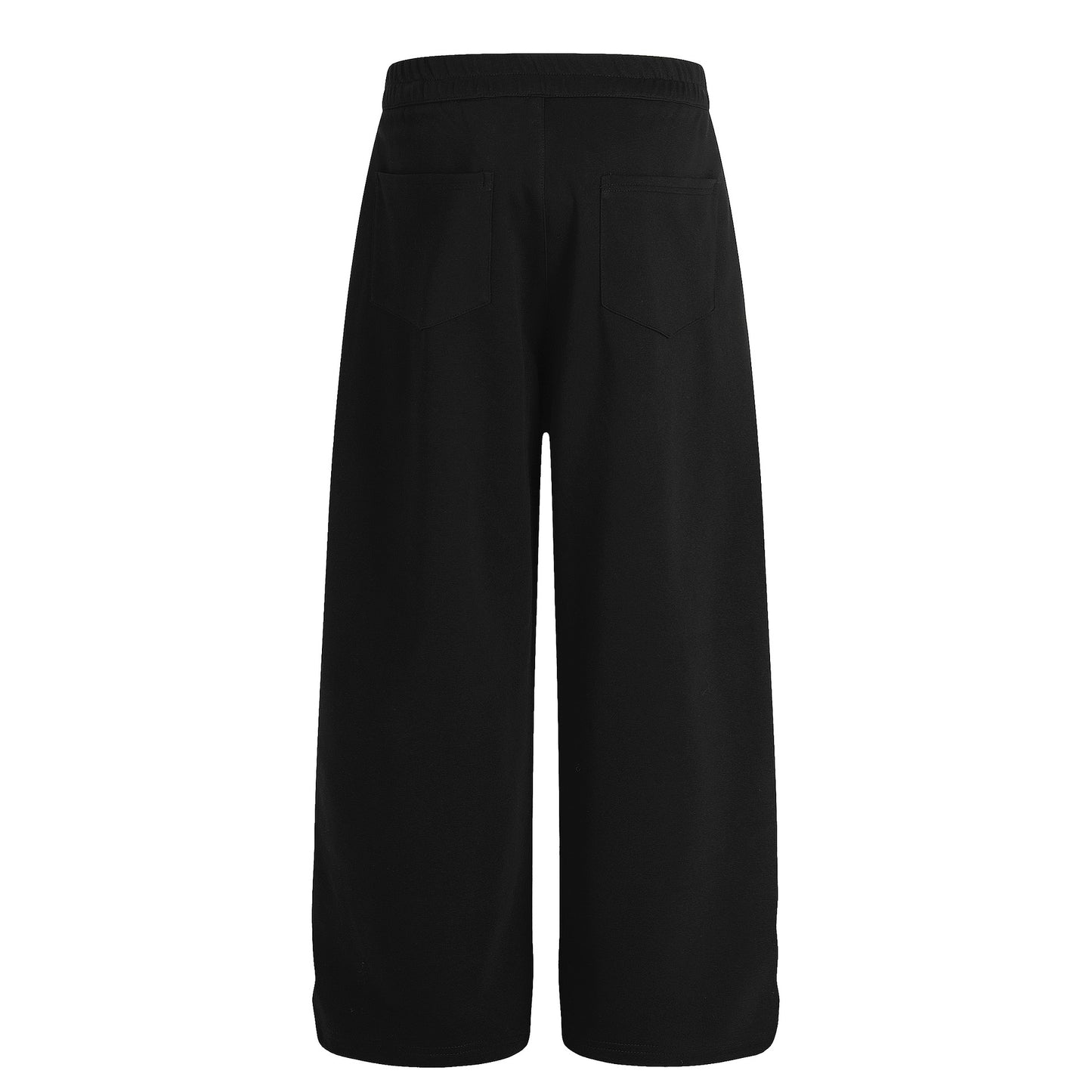 Drape Pleats Wide Leg Sweatpants WN26081