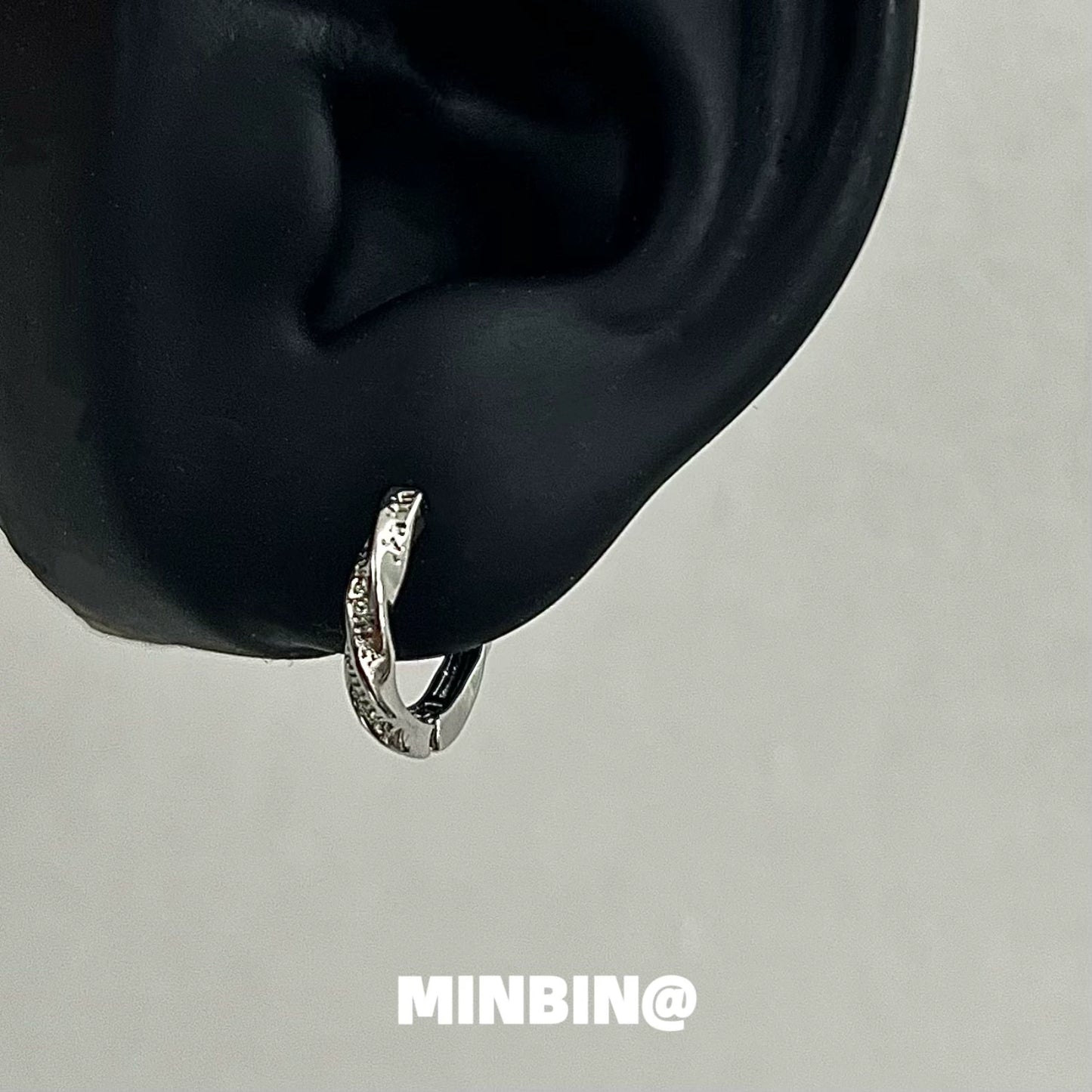 Virtues Hoop Earrings WN19230