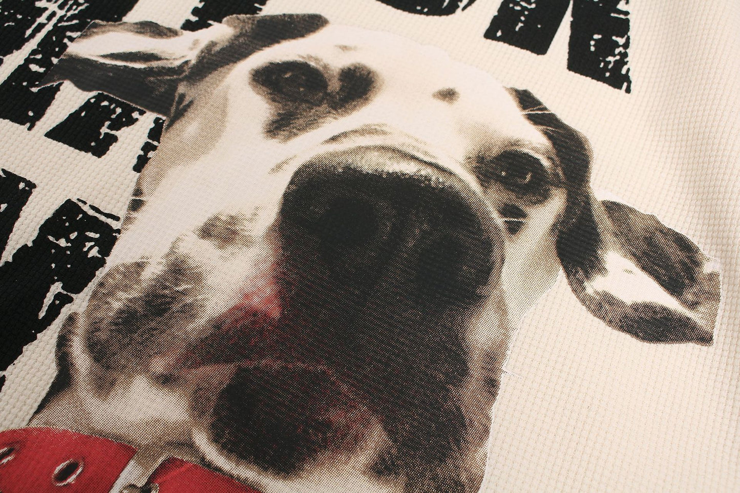 Waffle Dog Graphic Print Short Sleeve T-Shirt WN26013