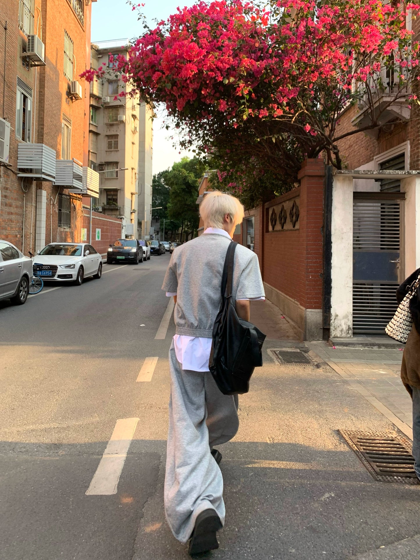 Drawstring Short Sleeve Polo shirt & Straight Leg Pants Setup WN19876