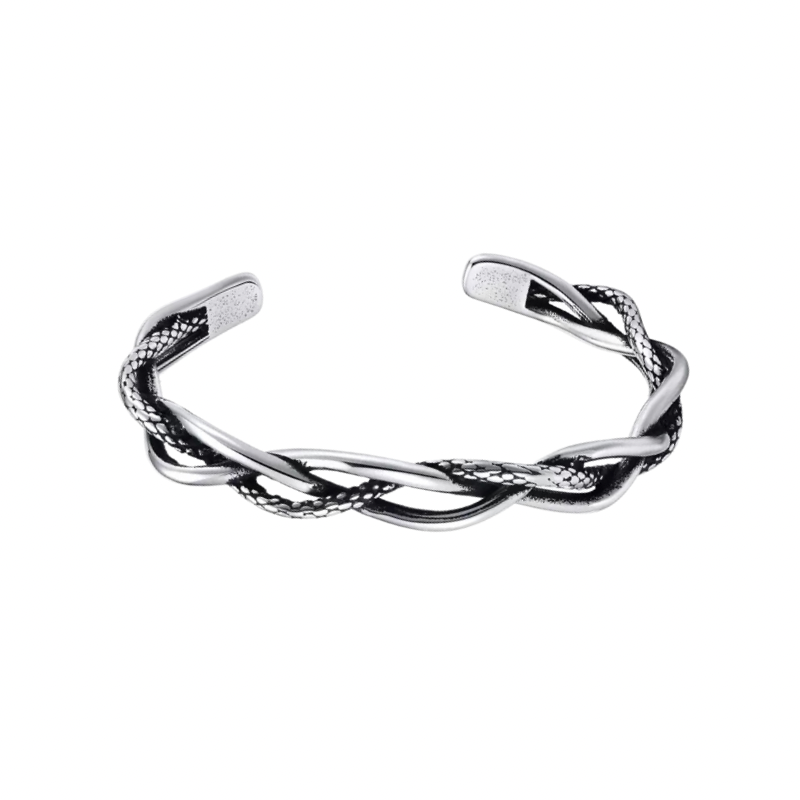 Snake Pattern Twist Titanium Steel Bracelet WN19254