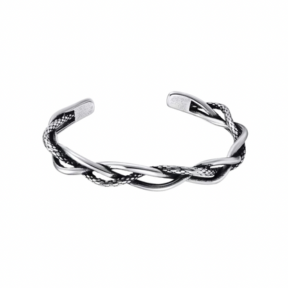 Snake Pattern Twist Titanium Steel Bracelet WN19254