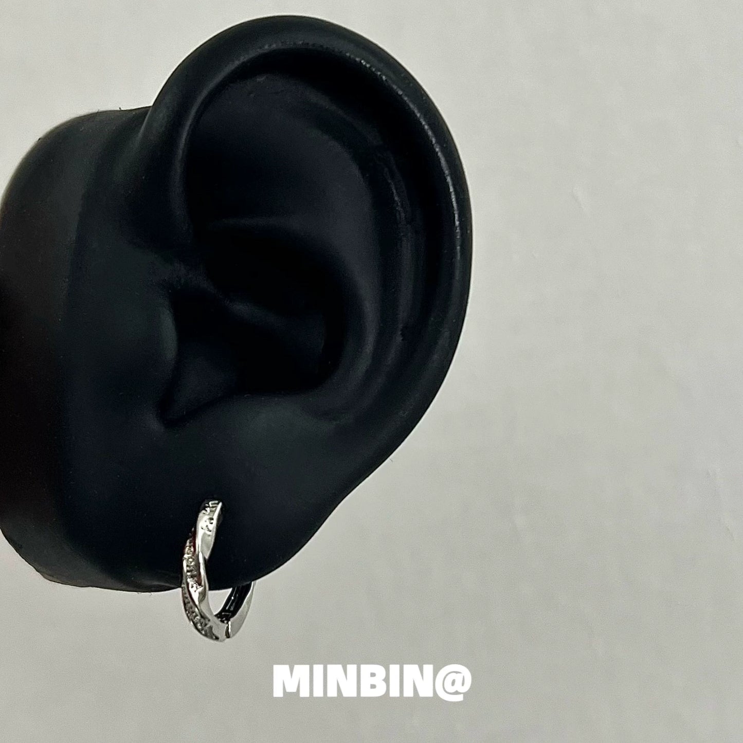 Virtues Hoop Earrings WN19230