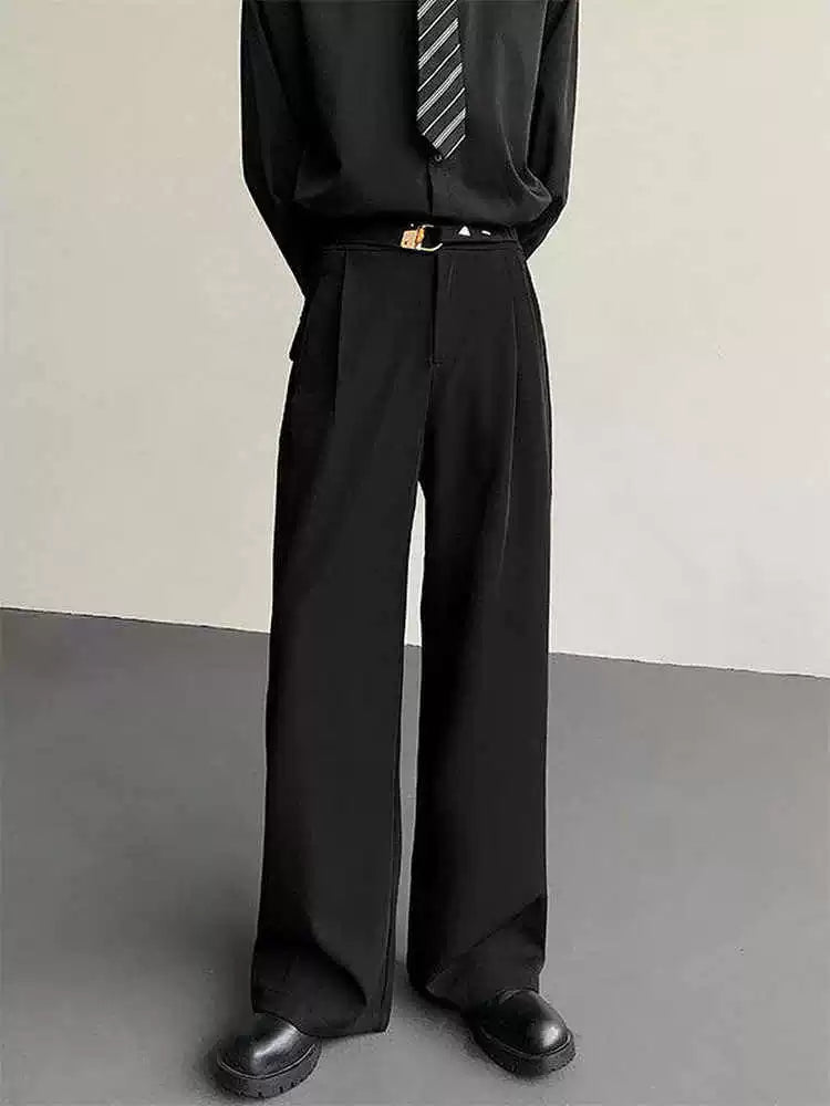 Korean Style Draped Wide Leg Trousers WN19328