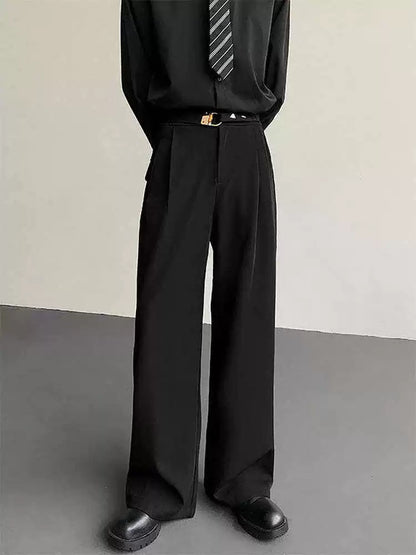 Korean Style Draped Wide Leg Trousers WN19328