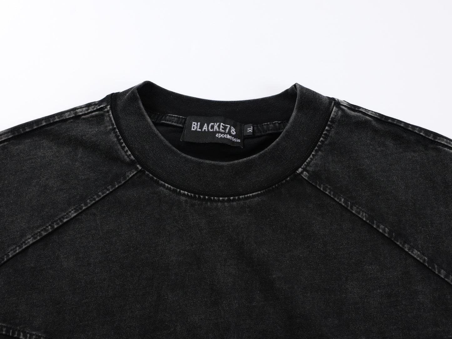 Washed Panel Short Sleeve T-Shirt WN25800