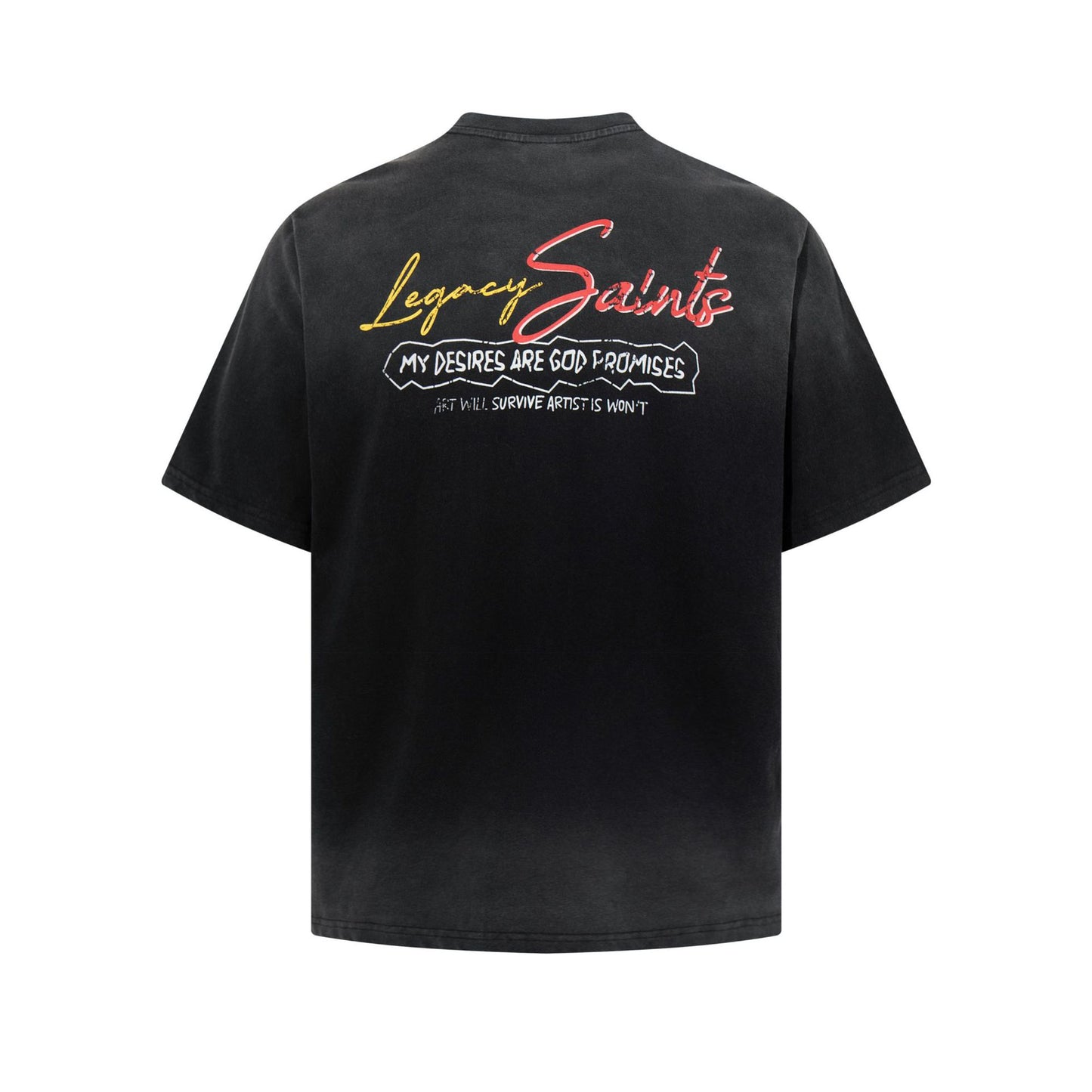 Washed Graphic Letter Print Short Sleeve T-Shirt WN25923