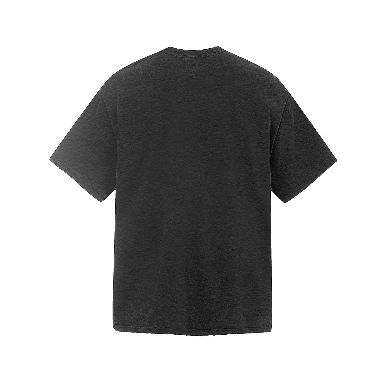 Graphic Print Washed Damage Cotton Short Sleeve T-Shirt WN25601