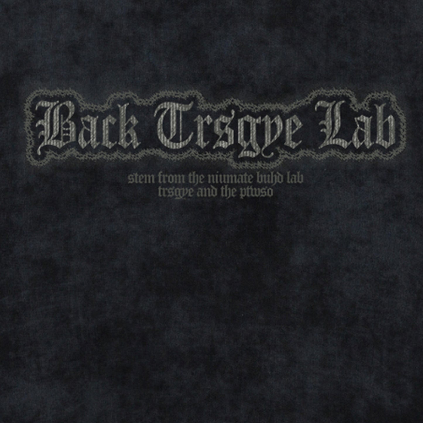 Graphic Print Short Sleeve T-Shirt WN16153