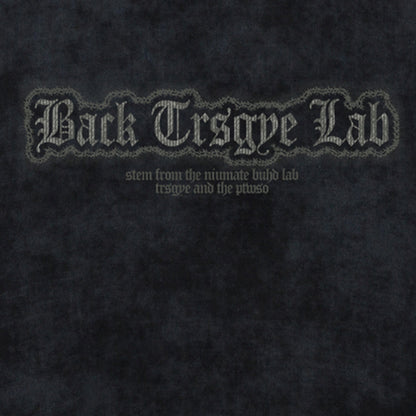 Graphic Print Short Sleeve T-Shirt WN16153