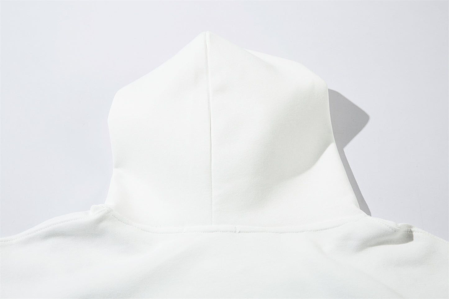 Floral Embroidery Oversize Hoodie WN11424