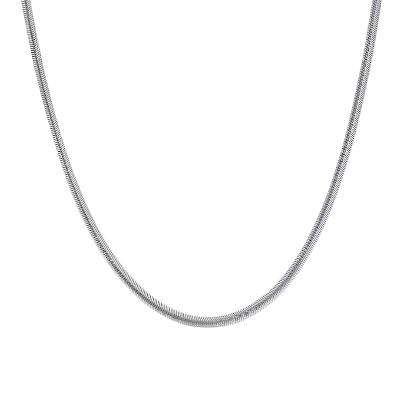 Snake Bone Titanium Steel Necklace WN19242