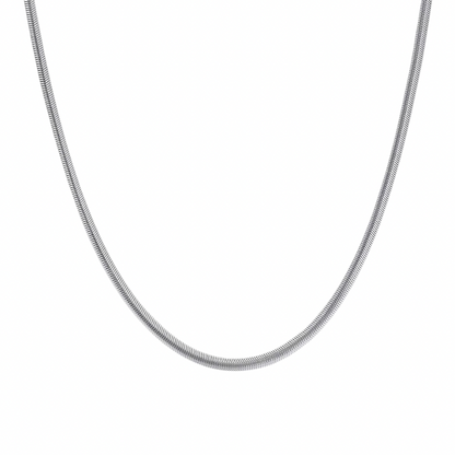 Snake Bone Titanium Steel Necklace WN19242