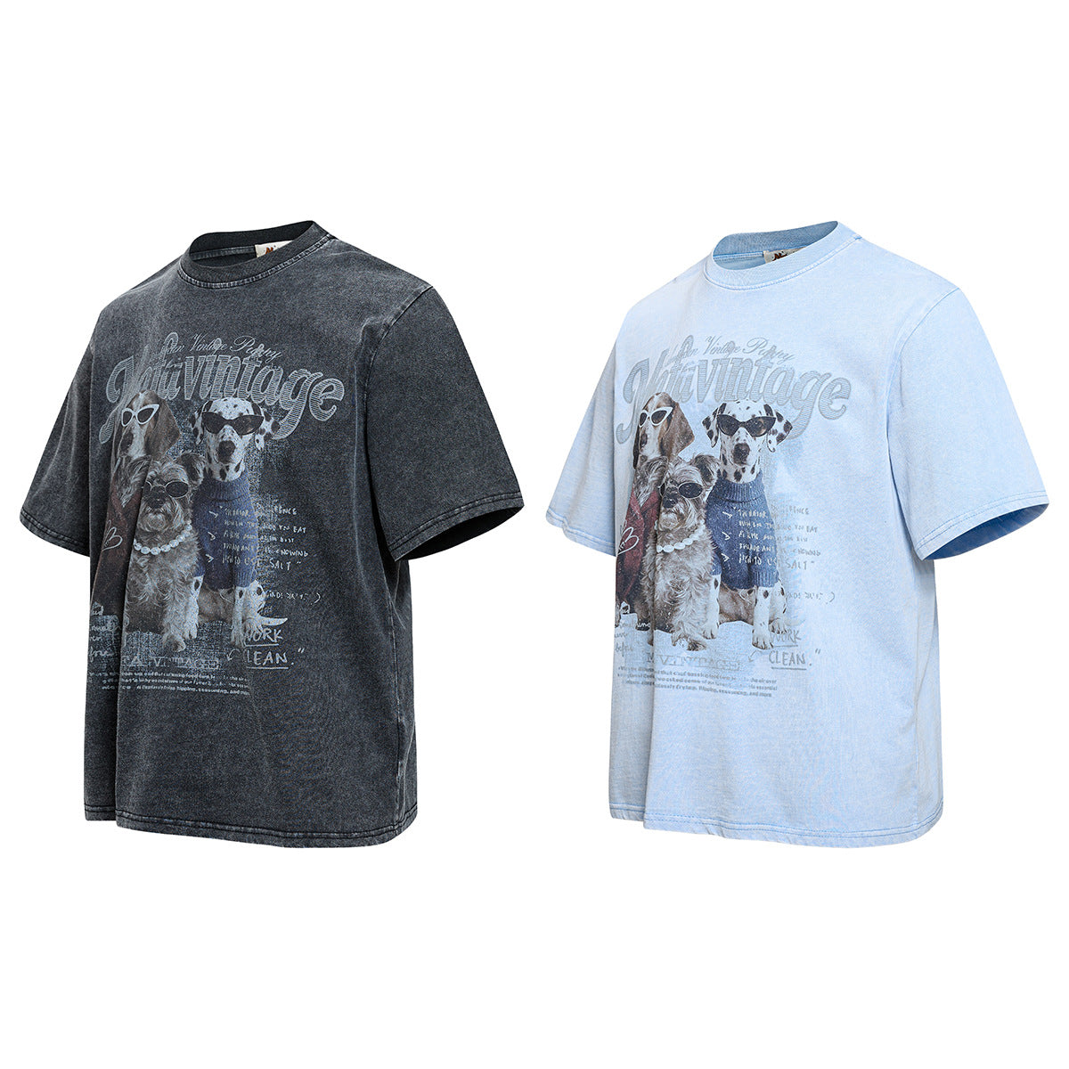Washed Dog Graphic Cotton Oversize Short Sleeve T-Shirt WN25739