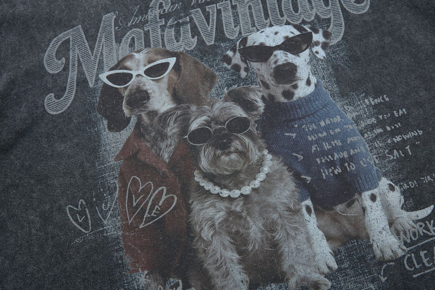 Washed Dog Graphic Cotton Oversize Short Sleeve T-Shirt WN25739