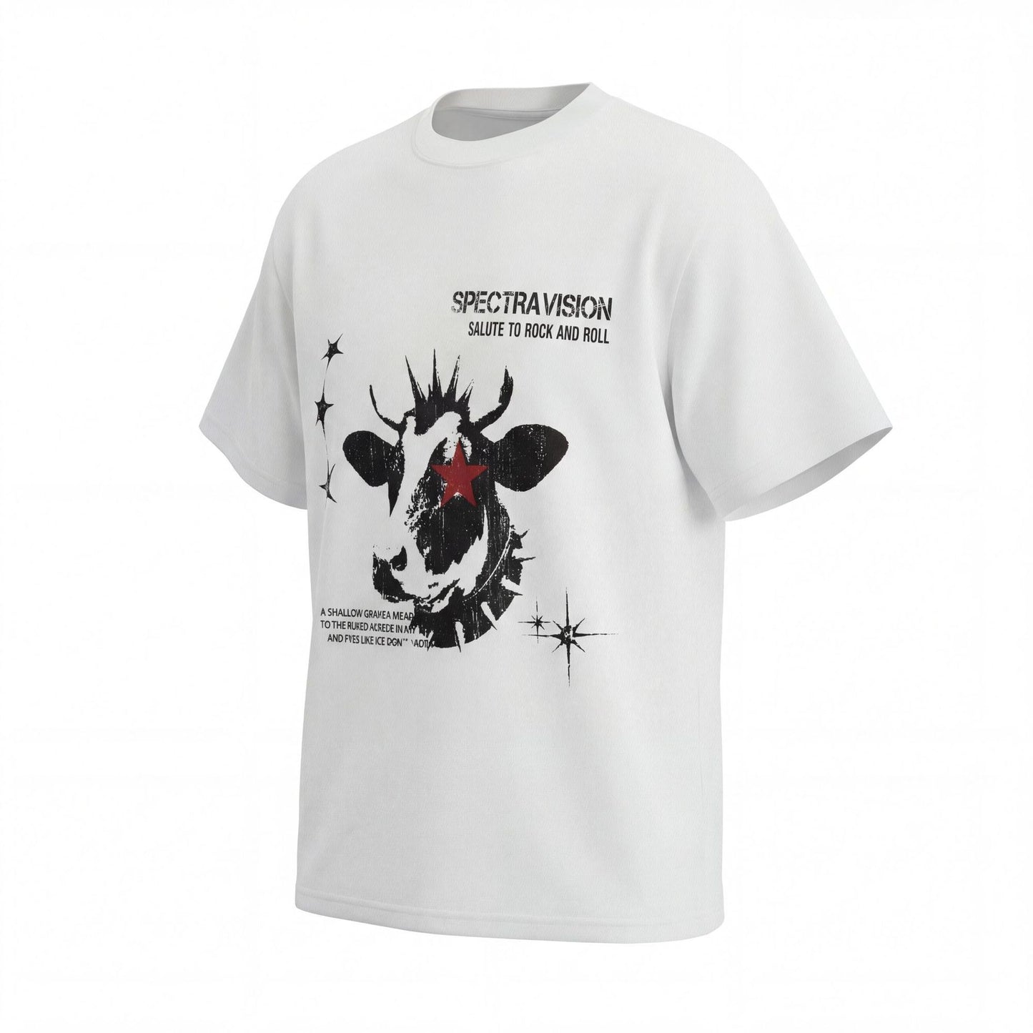 Graphic Print Short Sleeve T-Shirt WN25523