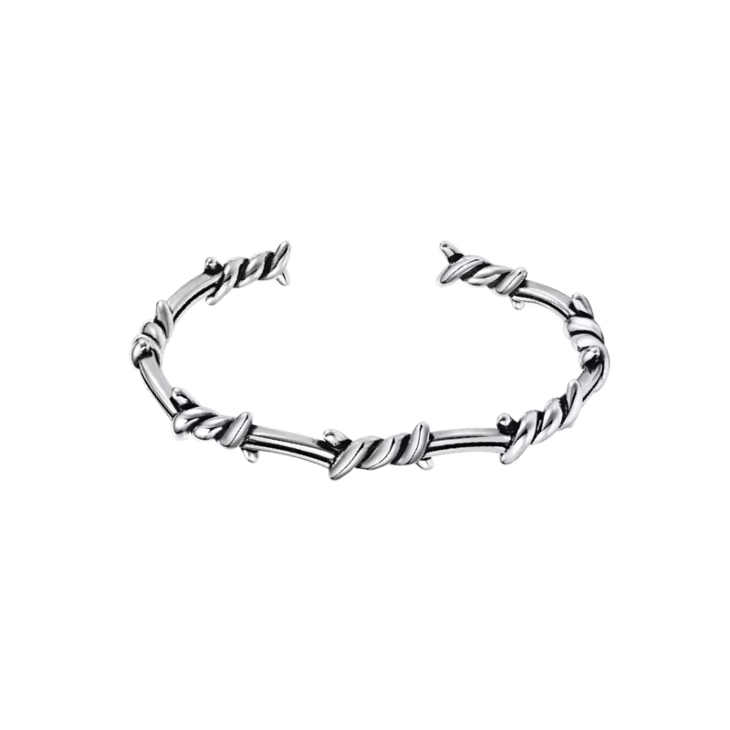 Thorn Design Titanium Steel Bracelet WN19226