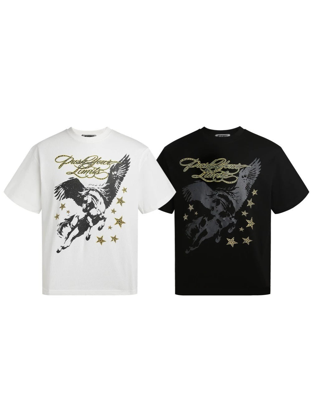 Wing Graphic Print Short Sleeve T-Shirt WN27977