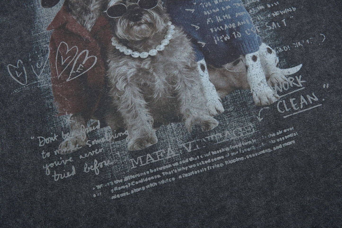 Washed Dog Graphic Cotton Oversize Short Sleeve T-Shirt WN25739