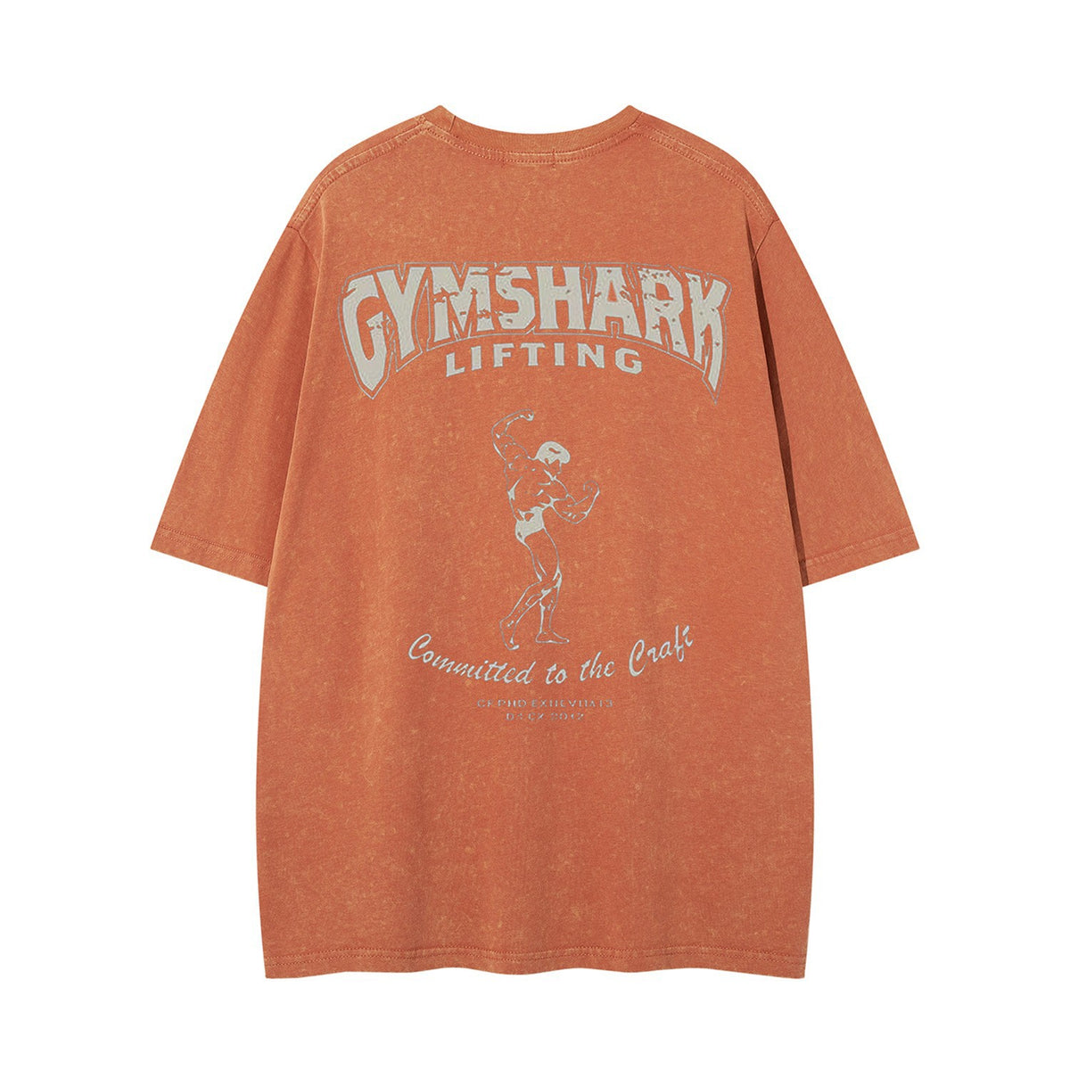 Washed Barbell Print Short Sleeve T-Shirt WN26961