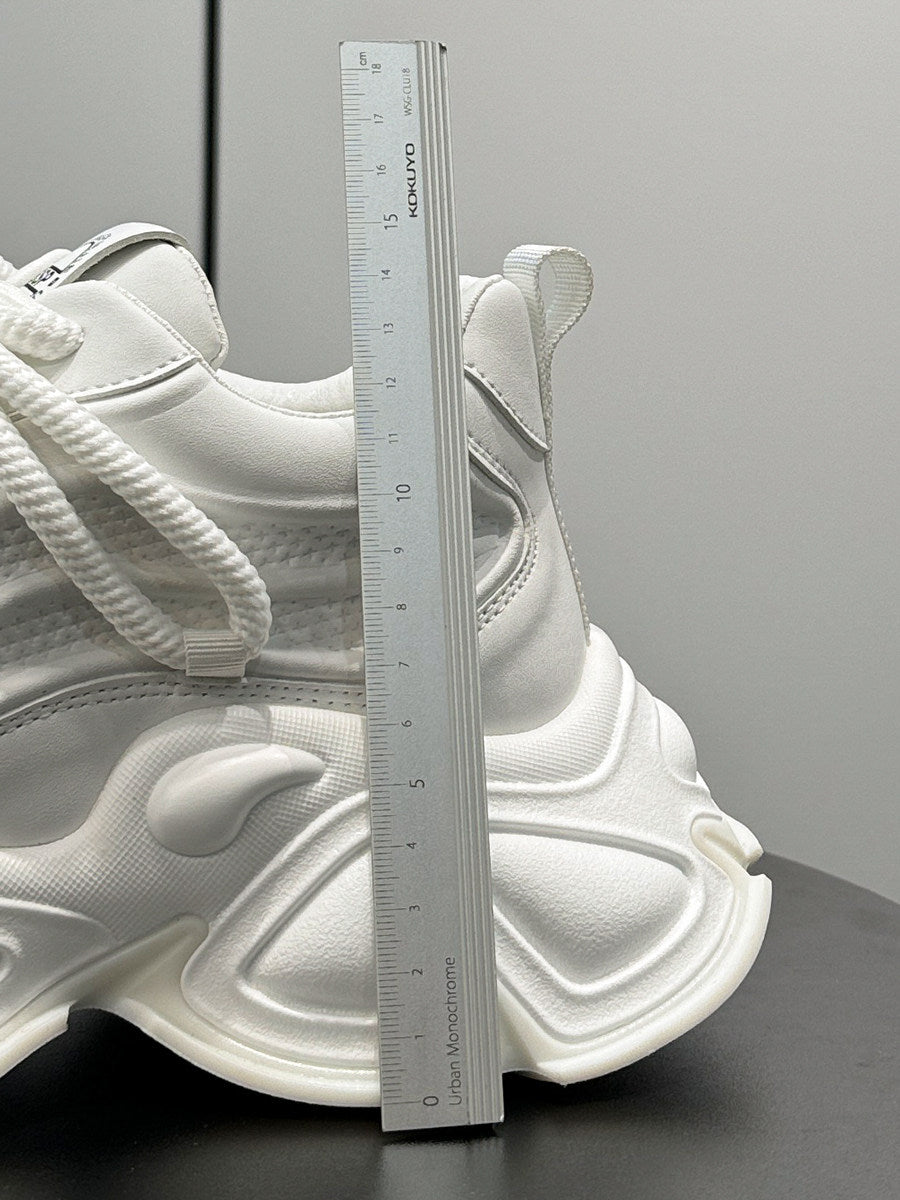 Panel Thick Sole Chunky Sole Sneakers WN24694