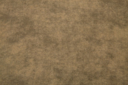 Graphic Print Short Sleeve T-Shirt WN16153